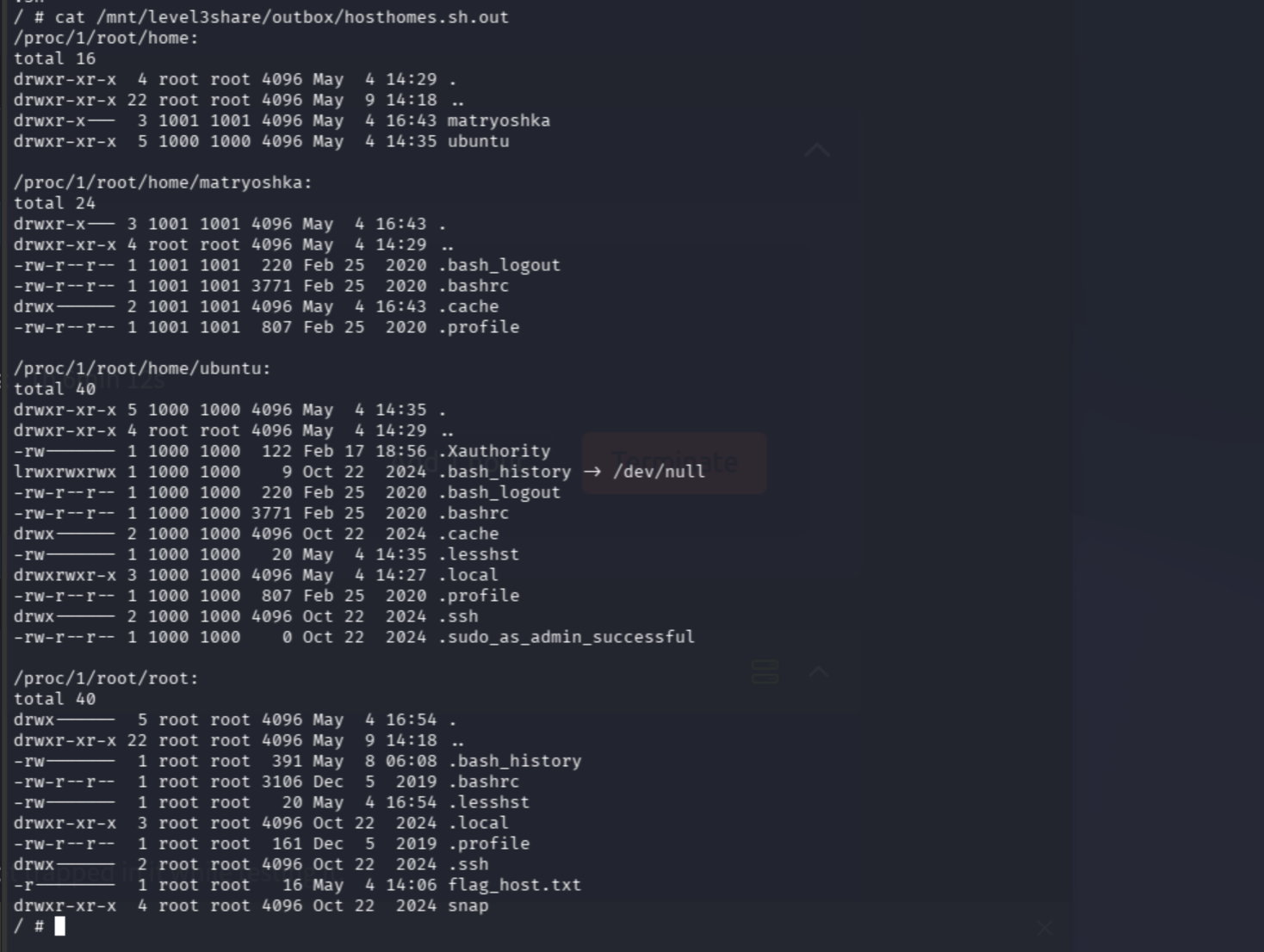 /root/flag_host.txt found on real host